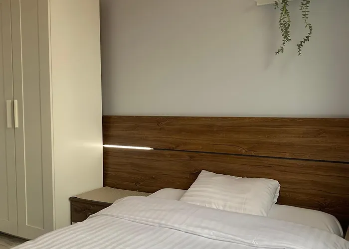 Elli Apartament 2